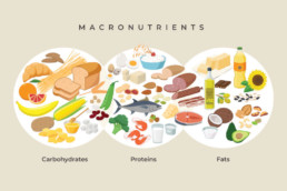Infografik Makronährstoffe