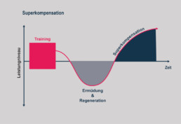 Prinzip der Superkompensation Grafik