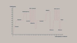 Intervalltraining Fahrtspiel Grafik Belastungszyklus